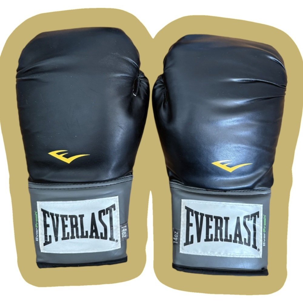 Everlast Boxing Pro Style Training Gloves - 14 oz